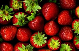 strawberries-13_l